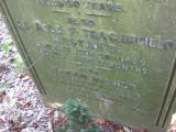 image of grave number 504717